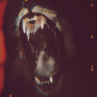 Pronoia - Dogs