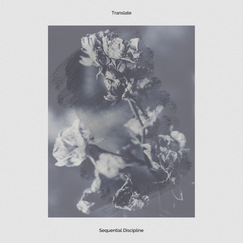 Translate - Sequential Discipline