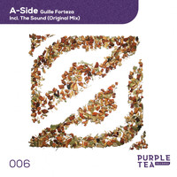 Guille Forteza - A-Side