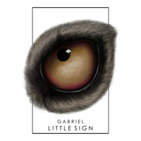 Gabriel - Little Sign