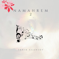 Tarık Ağansoy - Namahrem 2 (Siir Muzikleri)