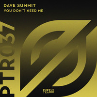 Dave Summit - You Don't Need Me