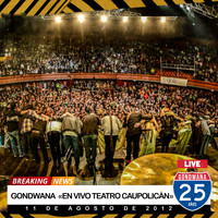 Gondwana - En Vivo Teatro Caupolicán