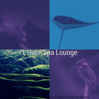 1 Hour Spa Lounge - Grand Music for Spa Days - Koto, Shakuhachi and Guitar