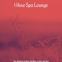 1 Hour Spa Lounge - Koto, Shakuhachi and Guitar Solo (Music for After Work Spa)