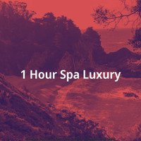 1 Hour Spa Luxury - Music for After Work Spa - Stylish Koto, Shakuhachi and Guitar