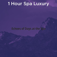 1 Hour Spa Luxury - Echoes of Days at the Spa