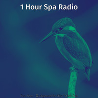 1 Hour Spa Radio - Fun Koto - Background for After Work Spa