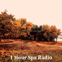 1 Hour Spa Radio - Music for Days at the Spa (Koto, Shakuhachi and Guitar)
