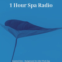 1 Hour Spa Radio - Inspired Koto - Background for After Work Spa