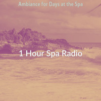 1 Hour Spa Radio - Ambiance for Days at the Spa
