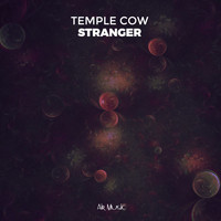 Temple Cow - Stranger