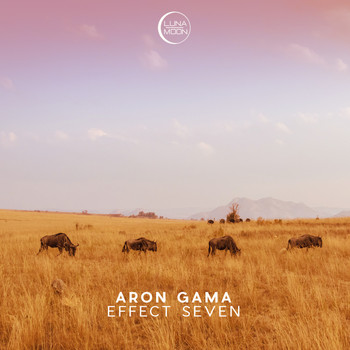 Aron Gama - Effect Seven
