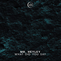 Mr. Heyley - What Did You Say