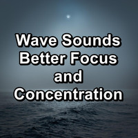 Yoga & Meditation - Wave Sounds Better Focus and Concentration