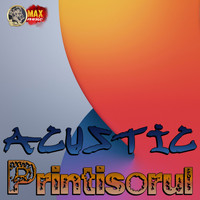 Acustic - Printisorul