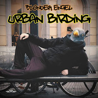 Blonder Engel - Urban Birding
