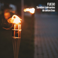 Fireplace Sounds, Nature Sounds Nature Music, Relaxing Music Therapy - Fuego: Sonidos calmantes de antorchas