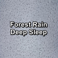 Soothing Nature Sounds - Forest Rain Deep Sleep