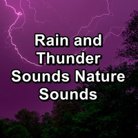 Nature Sounds for Sleep - Rain and Thunder Sounds Nature Sounds