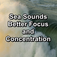 Alpha Wave Movement - Sea Sounds Better Focus and Concentration