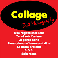 Collage - Best Monography: Collage