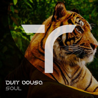 Dvit Bousa - Soul
