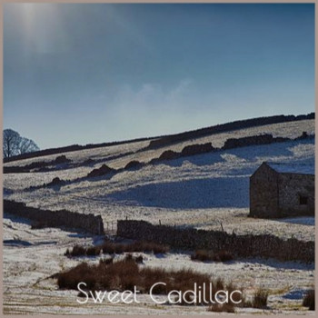 Various Artist - Sweet Cadillac