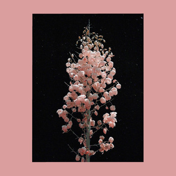 Deciduous - Wanderlust (Explicit)