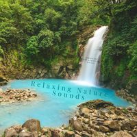 Relaxing Nature Sounds - Smooth Background Music