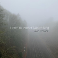 David Pollack - Listen to Mother Nature Sing
