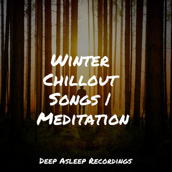 Especialistas de Musica para Dormir, Musique Zen Garden, Sleep Sound Library - Winter Chillout Songs | Meditation