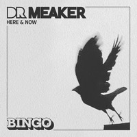 Dr Meaker - Here & Now