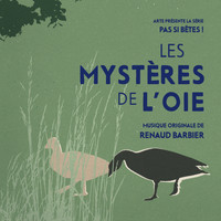 Renaud Barbier - Pas si bêtes ! - Les mystères de l'oie (Bande originale de la série télévisée)