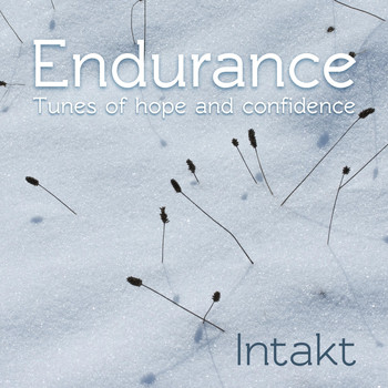 Intakt - Endurance