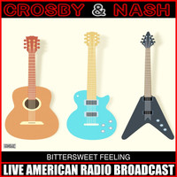Crosby & Nash - Bittersweet Feeling (Live)