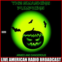 The Smashing Pumpkins - Armed And Dangerous (Live)