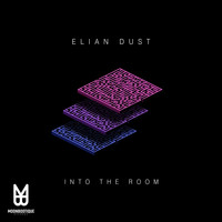 Elian Dust - Into the Room