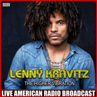 Lenny Kravitz - The Higher Vibration (Live)