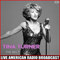 Tina Turner - The Big T (Live)