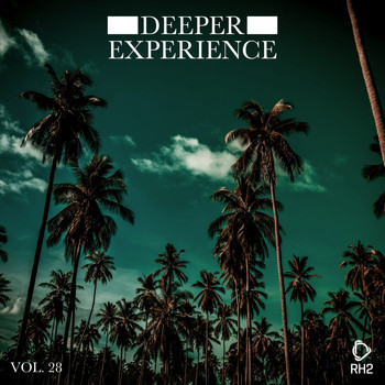Various Artists - Deeper Experience, Vol. 28