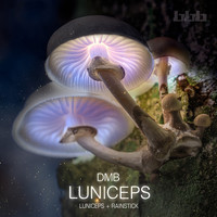 dmb - Luniceps (Radio Edits)