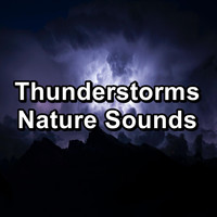 Rain Sounds for Sleep - Thunderstorms Nature Sounds