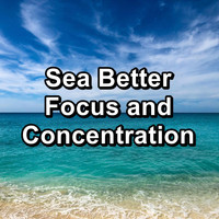 Ocean - Sea Better Focus and Concentration