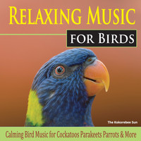 The Kokorebee Sun - Relaxing Music for Birds (Calming Bird Music for Cockatoos, Parakeets, Parrots & More)