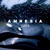 Seño / - Amnesia