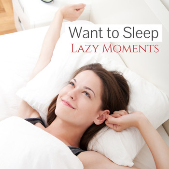 Various Artists - Want to Sleep: Lazy Moments