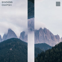 Various Artists / - Synthesis Chapter I