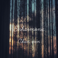 Okan Erin / - Enharmonic
