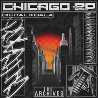 Digital Koala - Chicago